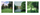 Natur und Ideal – Ideal & Narration (Triptychon)