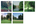 Natur und Ideal – Natur und Narration_Übersicht I_