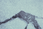 LK_Landscape B001