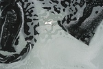 LK_Landscape A005