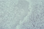 LK_Landscape B003